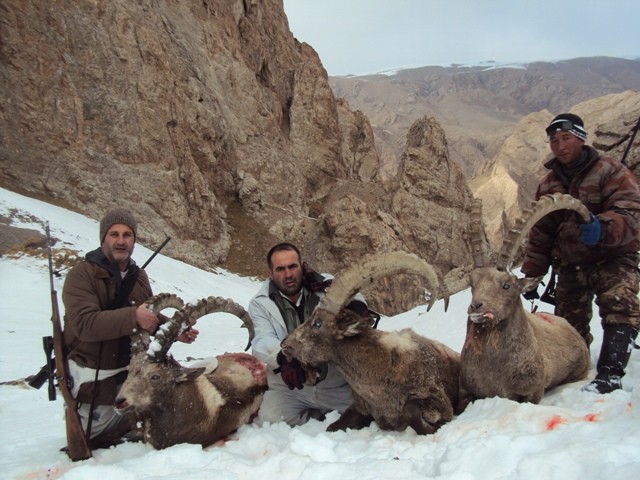 شکار در قرقیزستان 