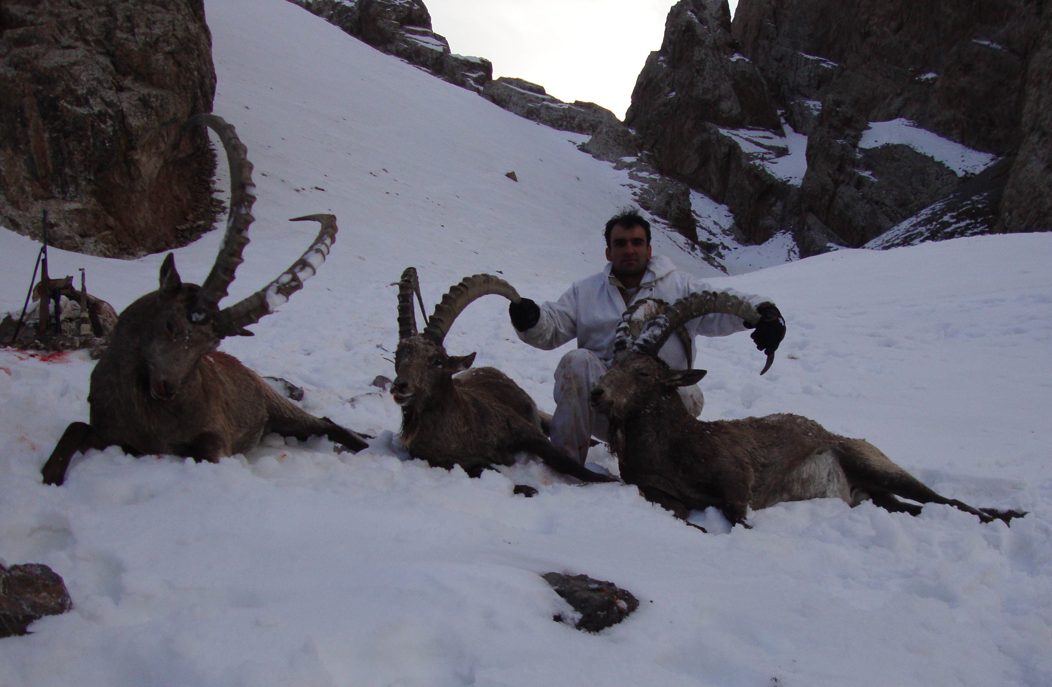 شکار در قرقیزستان