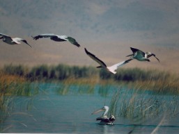 Parishan Lake