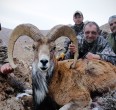 Sheep and Ibex hunting 