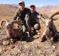 Sheep and Ibex hunting 