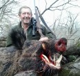 Wild Boar
