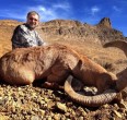 Sheep and Ibex hunting 