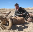 Sheep and Ibex hunting 