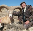 Sheep and Ibex hunting 