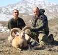 Sheep and Ibex hunting 