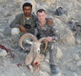 Sheep and Ibex hunting 