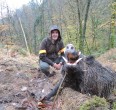 Wild Boar