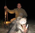 Wild Boar