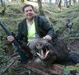 Wild Boar