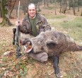 Wild Boar