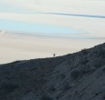 On the hunt