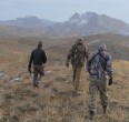 On the hunt