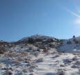 Landscapes
