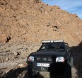 Our transport