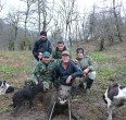 Wild Boar