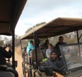 Safari